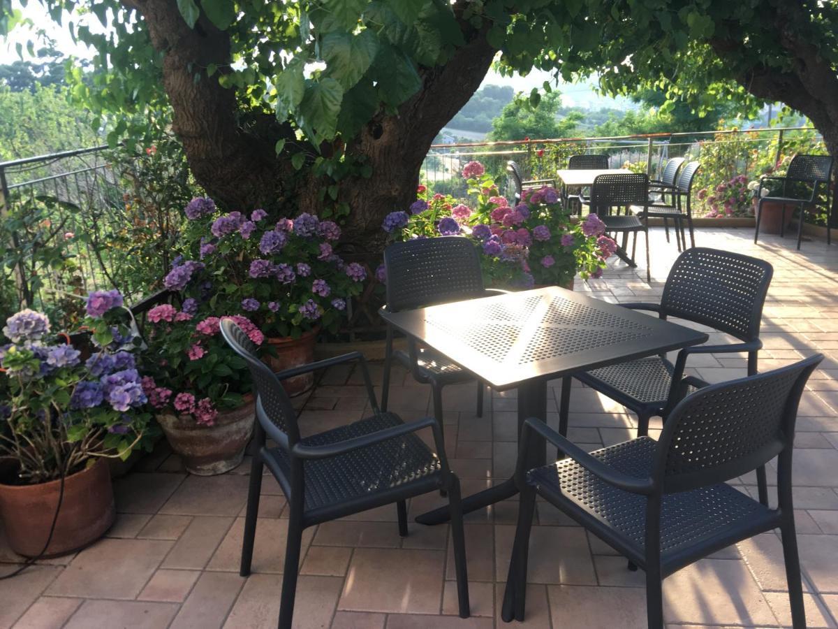 La Casa Sul Golfo Bed & Breakfast Ancona Eksteriør bilde